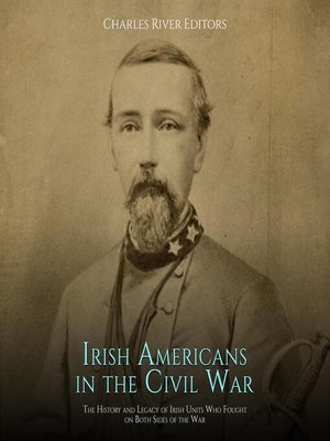 cover image of Irish Americans in the Civil War